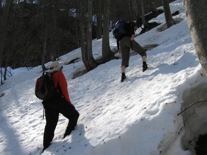 2009-04-13 Stripsenkopf (04) wir suchen den  Pfad